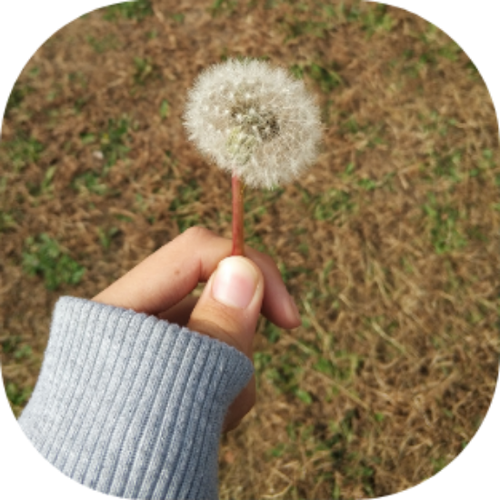 Picture of iPhone Static wallpaper【0036】